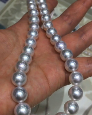 Australian white south sea pearl necklace